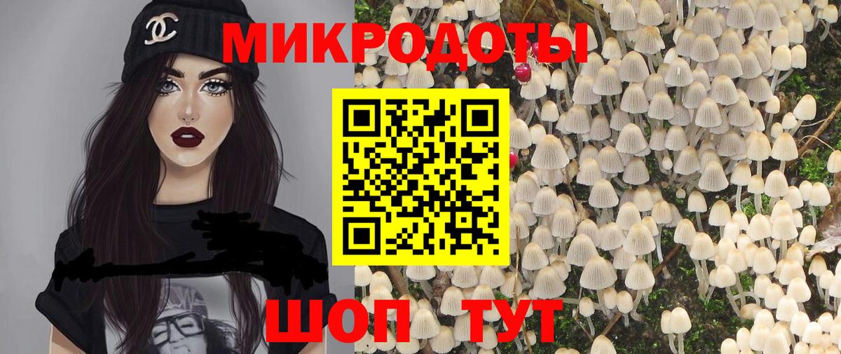 Псилоцибиновые грибы мухоморы Кольчугино