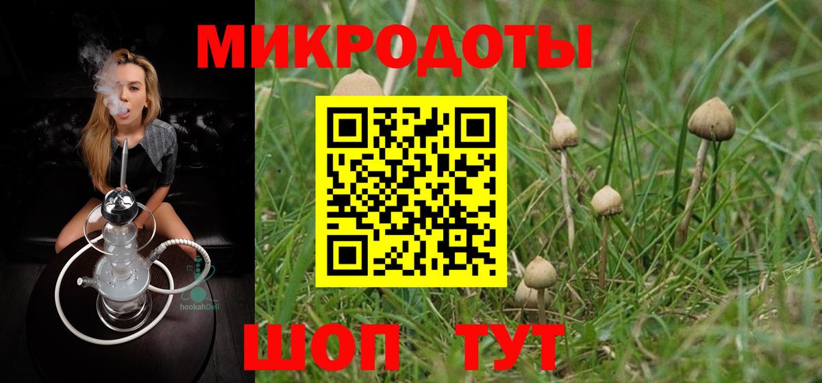 Галлюциногенные грибы ЛСД  Псилоцибиновые грибы ЛСД  Вход с VPN  что такое наркотик  Кольчугино 